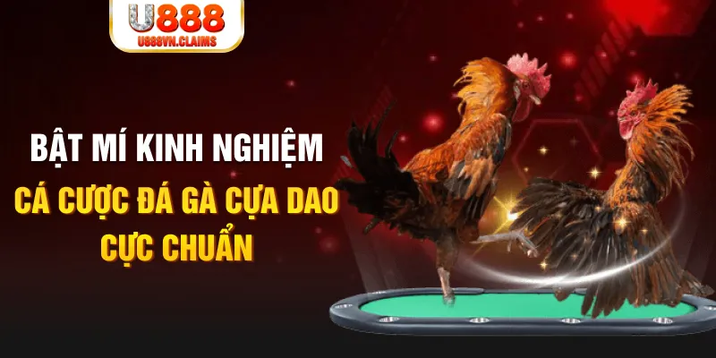ga 67 trong baccarat, ai là người chia bài chính？