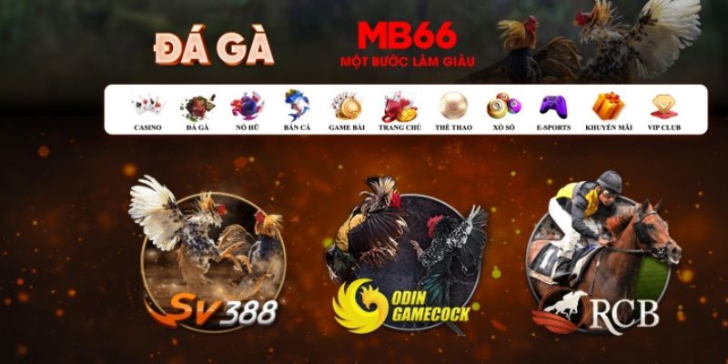 ga 67 Bài Poker Hoàn Toàn Mỹ