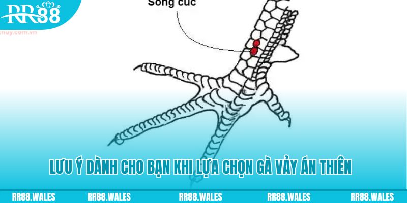 ga 67 how to play roulette at casino