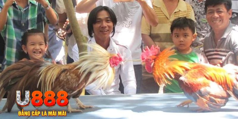 ga 67 mơ thấy nổ hũ đánh con gì