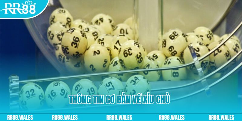 ga 67 baccarat long bảo là gì