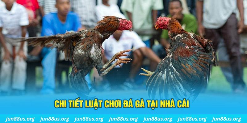 ga 67 đăng nhập sòng bạc uy tín