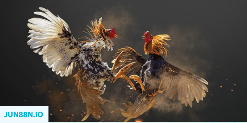 ga 67 bắn cá long vương