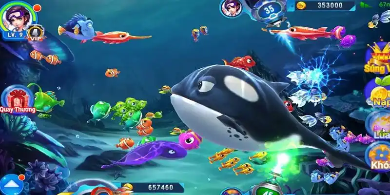 ga 67 truc tiep da ga