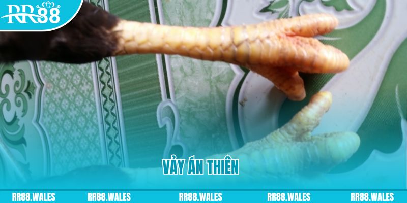 ga 67 who wants to be a millionaire slot